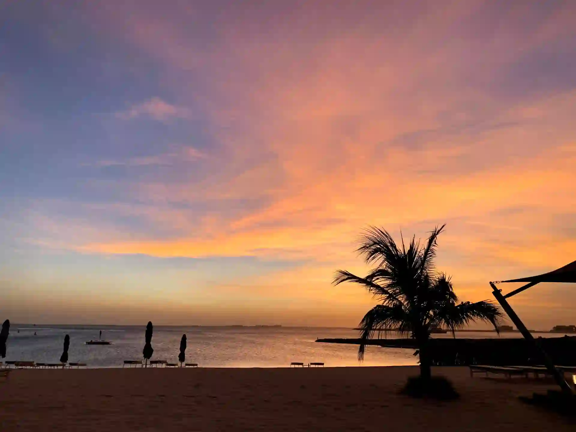 Palm tree on a quiet Dubai beach at sunset