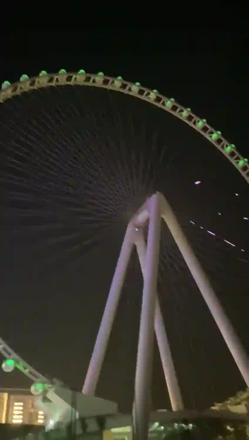 Ain Dubai observation wheel at night